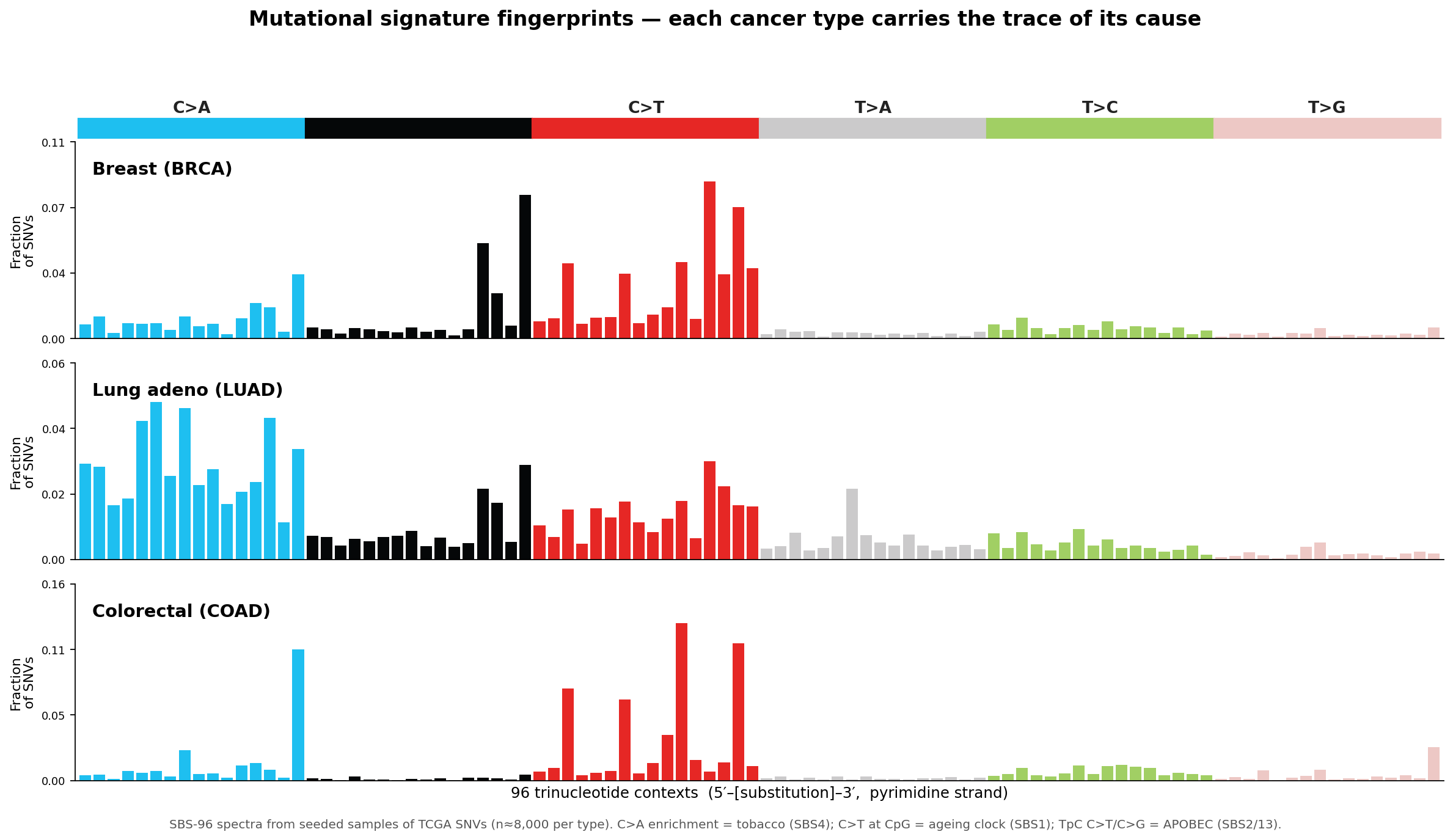 SBS-96 mutational signature spectra per cancer type