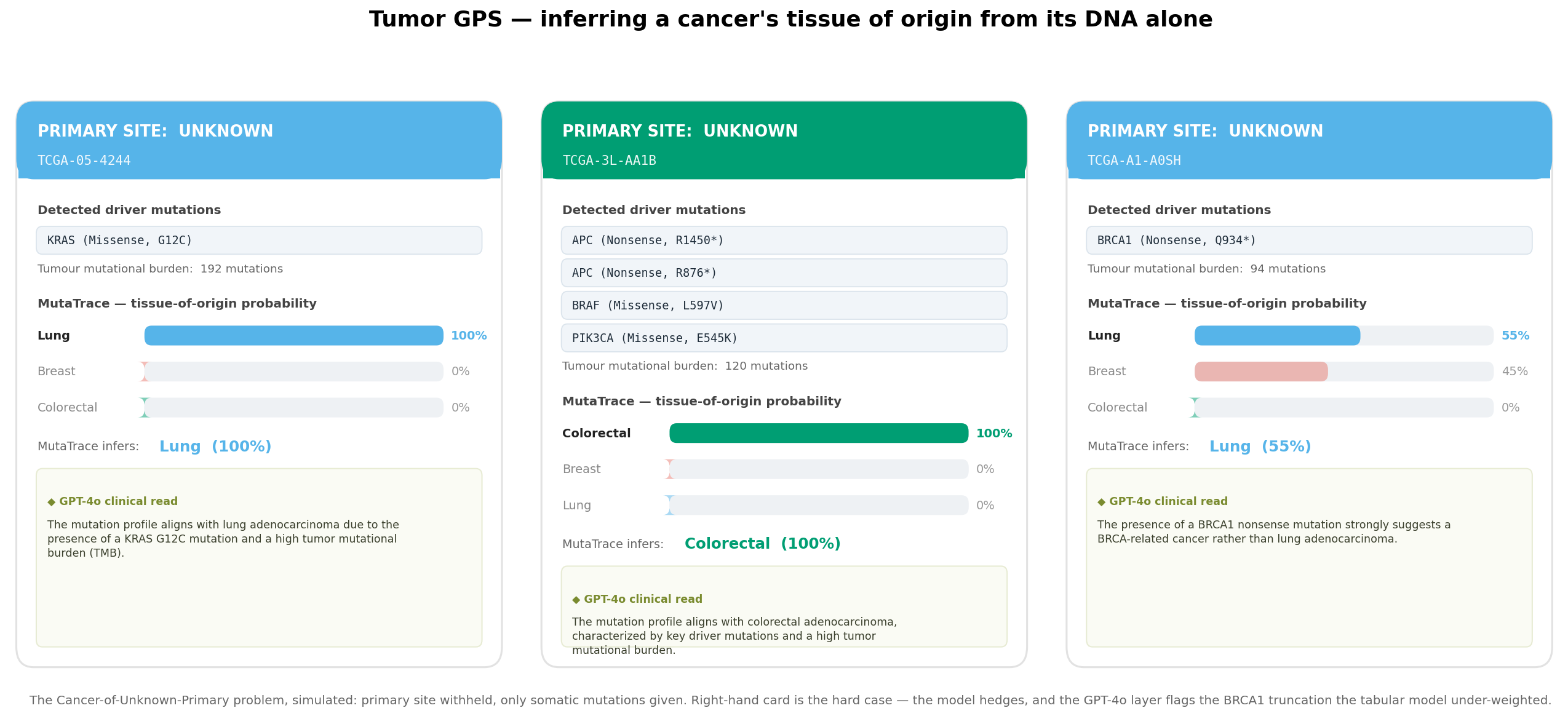 Tumor GPS cards inferring tissue of origin for three patients
